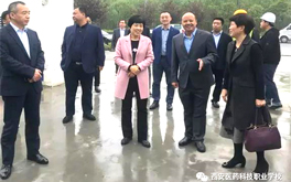 鄠邑区区委常委、副区长王值一行考察调研“西安医药科技学校”项目