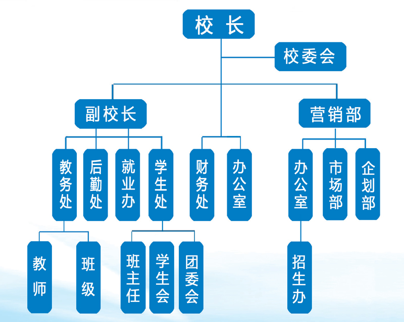 组织架构(图1)